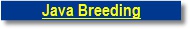 Welcome Page Button