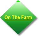 Go to Blog Button